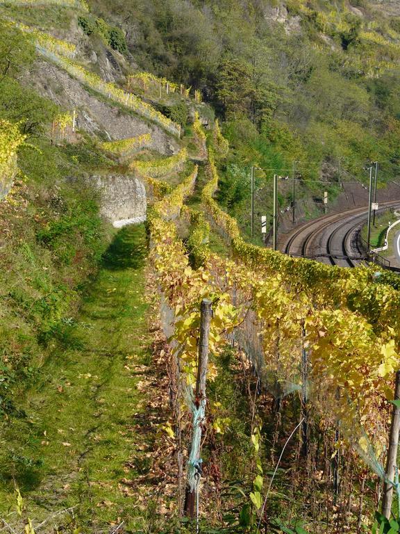 Gasthaus Weingut Stahl Oberwesel Eksteriør billede