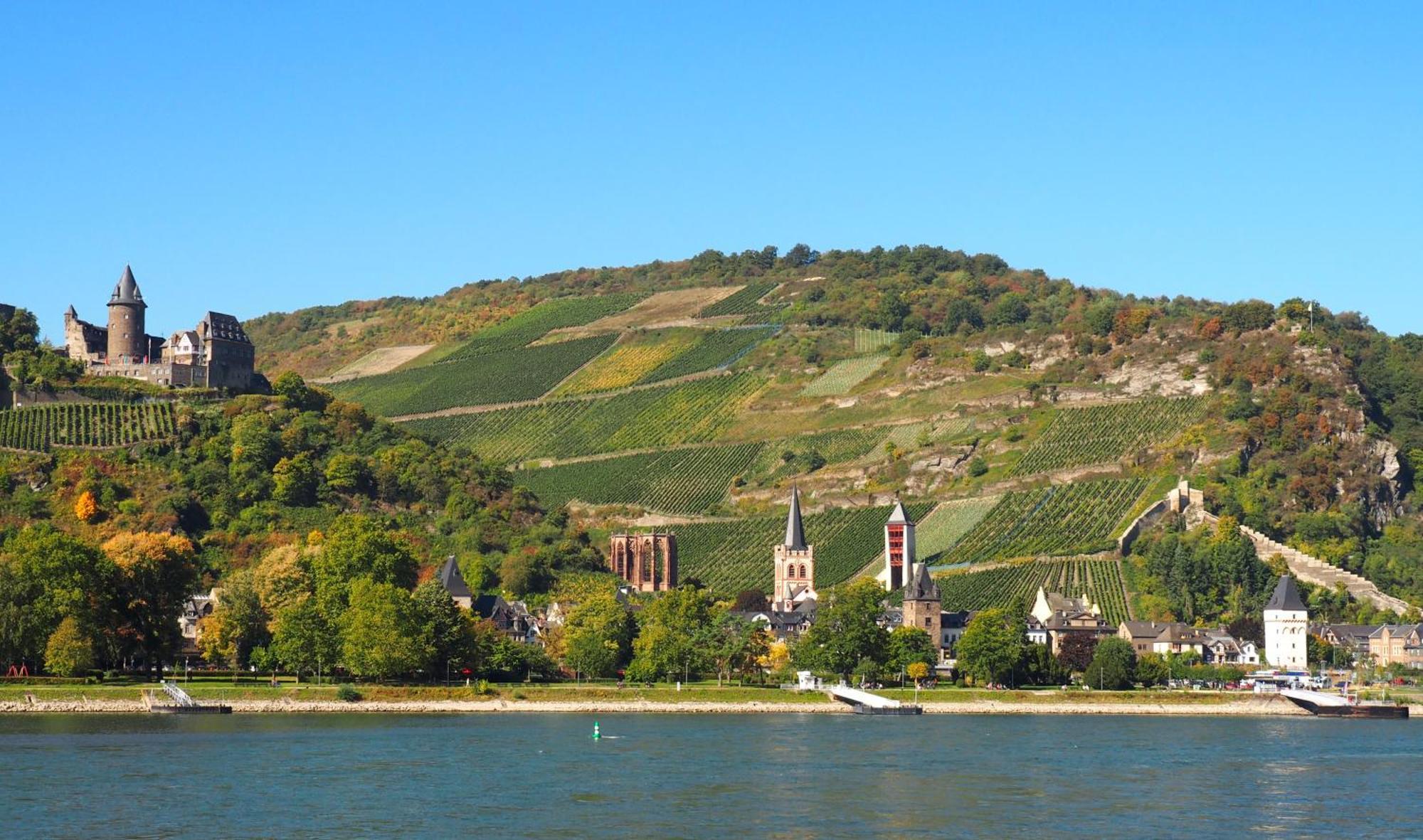 Gasthaus Weingut Stahl Oberwesel Eksteriør billede