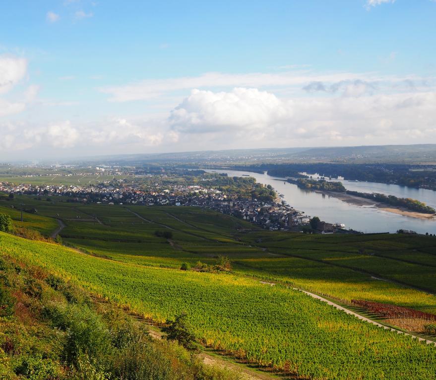 Gasthaus Weingut Stahl Oberwesel Eksteriør billede
