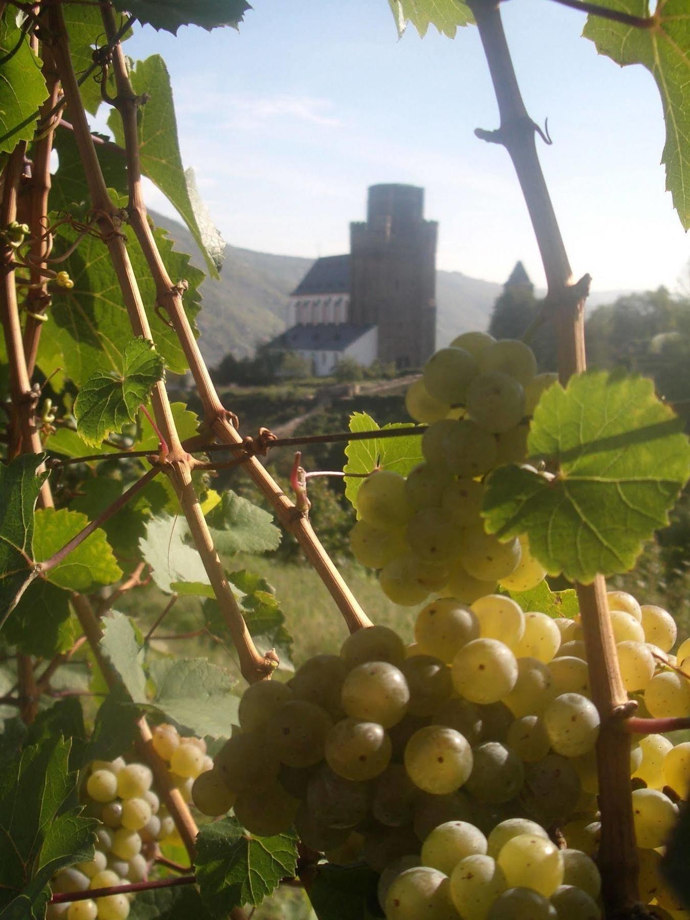 Gasthaus Weingut Stahl Oberwesel Eksteriør billede
