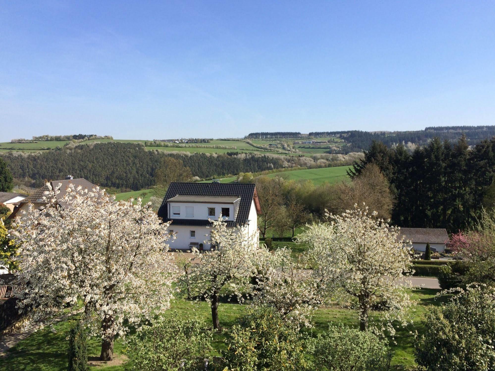 Gasthaus Weingut Stahl Oberwesel Eksteriør billede